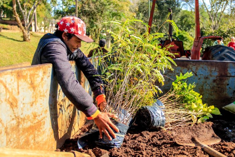 Ação ambiental promove plantio de mudas no Viverti neste sábado (18)
