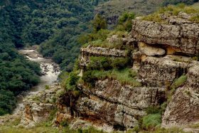 guartela01