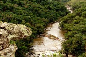guartela02