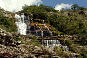 guartela03
