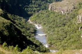 guartela04